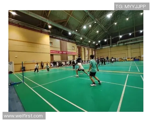 深圳羽毛球队的崛起与发展探秘聚焦羽毛球运动的力量与激情