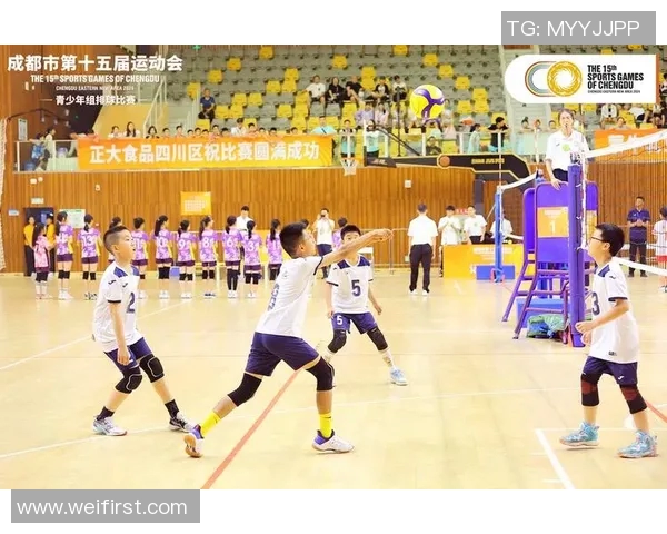 专业解读：成都排球队的运营打法