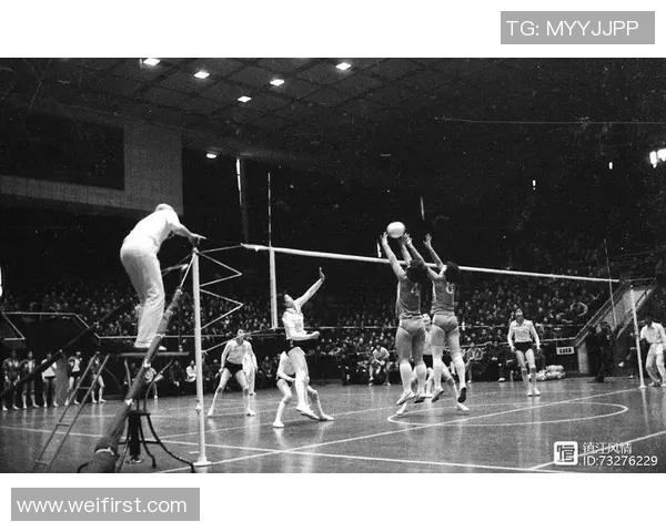 南京排球队的技术揭秘与训练背后的故事与成就分享 南京排球队的技术揭秘与训练背后的故事与成就分享