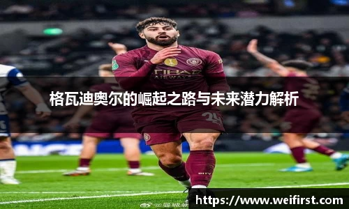 VSport胜利因您更精彩
