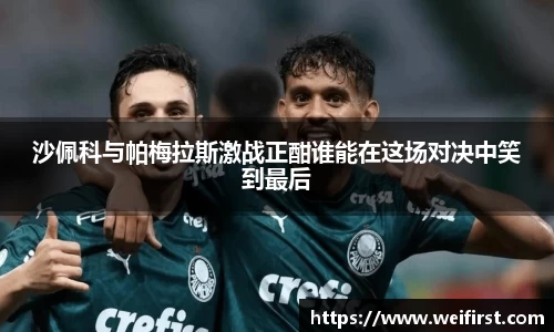 沙佩科与帕梅拉斯激战正酣谁能在这场对决中笑到最后